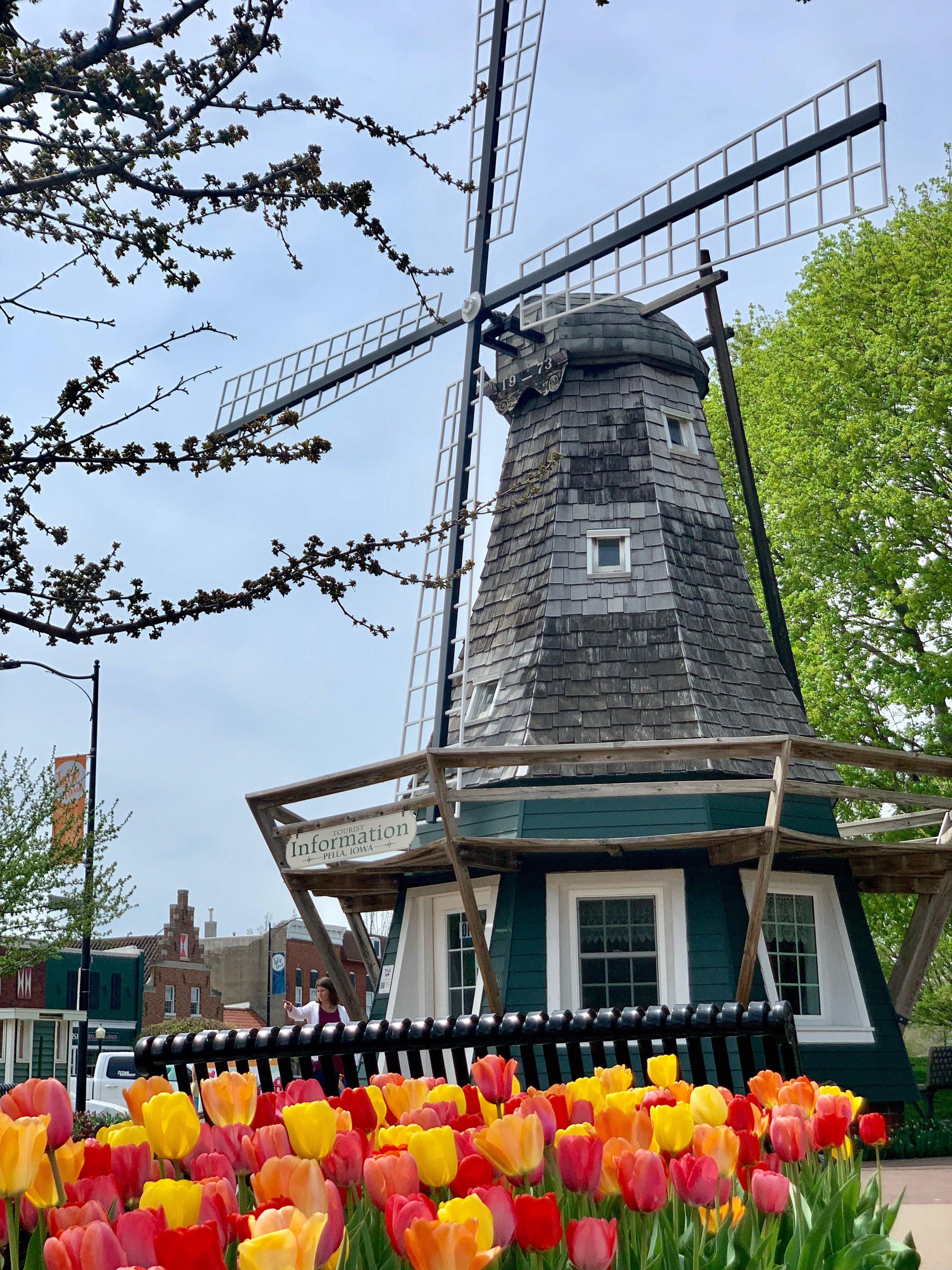 Pella Iowa's Information Windmill in Central Park, surrounded by pink, red, yellow, and orange tulips