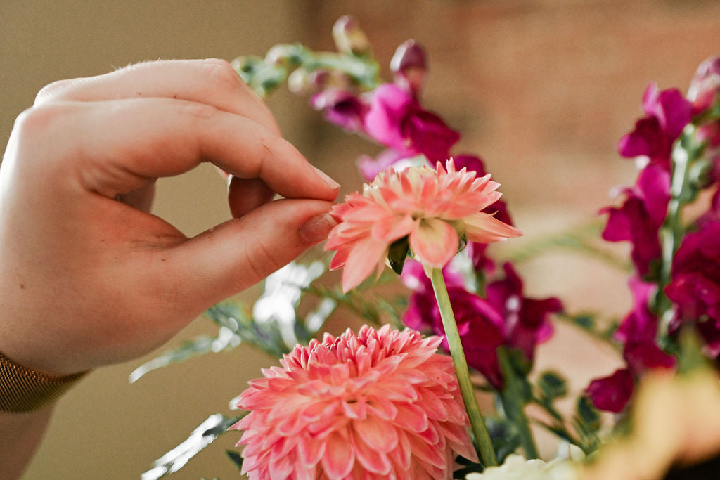 Shop Thistles