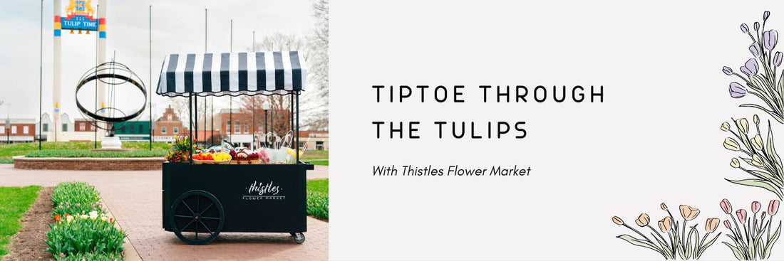 Tiptoe Through the Tulips with Thistles