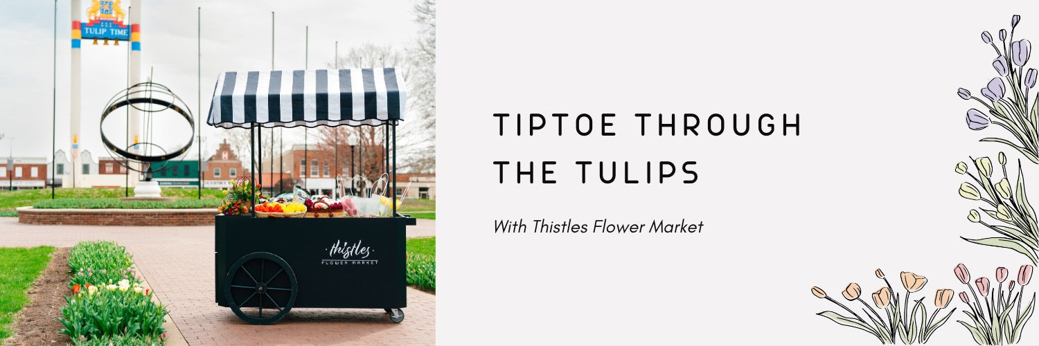 Tiptoe Through the Tulips with Thistles