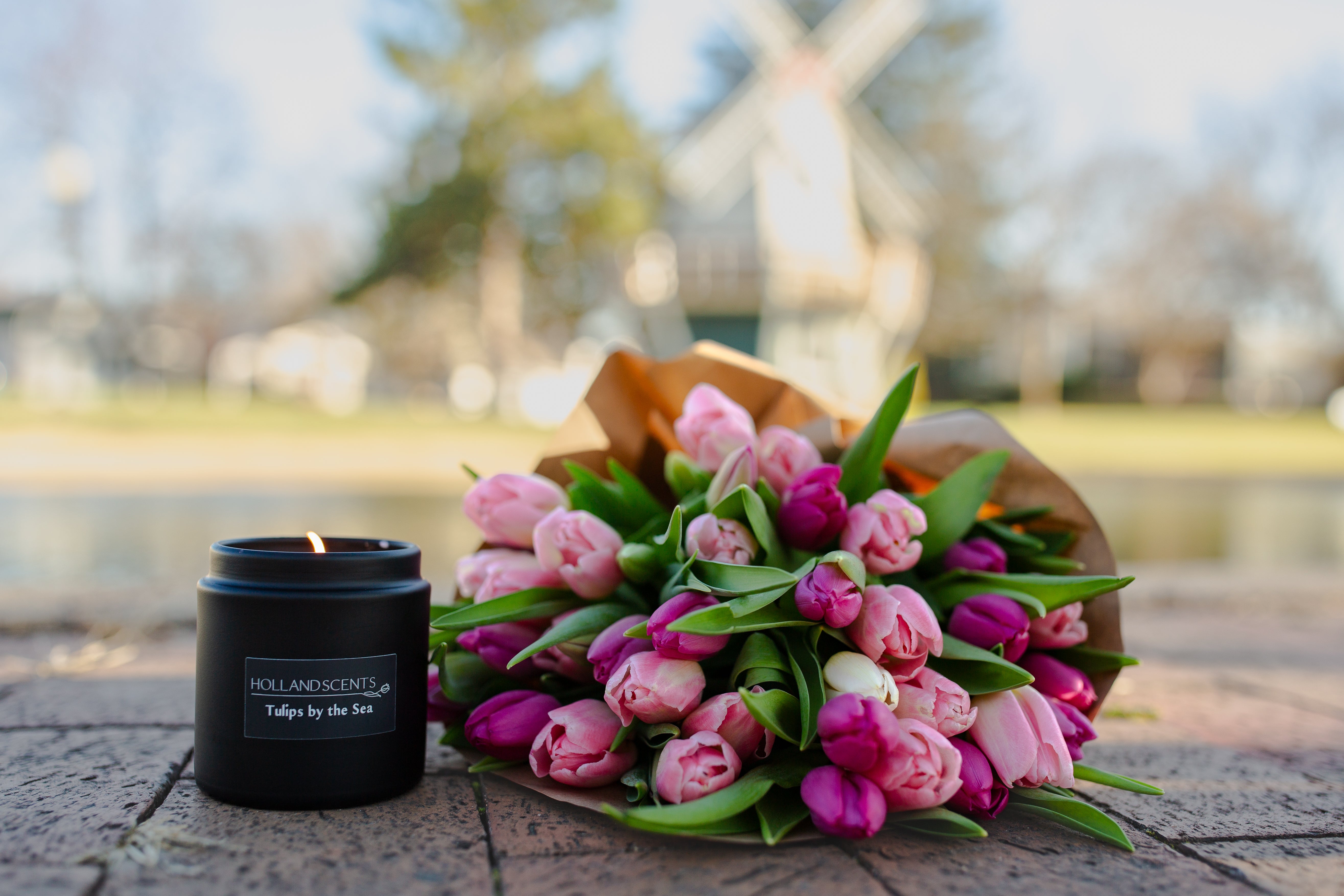 Holland Scents Tulips by the Sea soy candle beside a bouquet of pink tulips near a windmill, Pella, Iowa