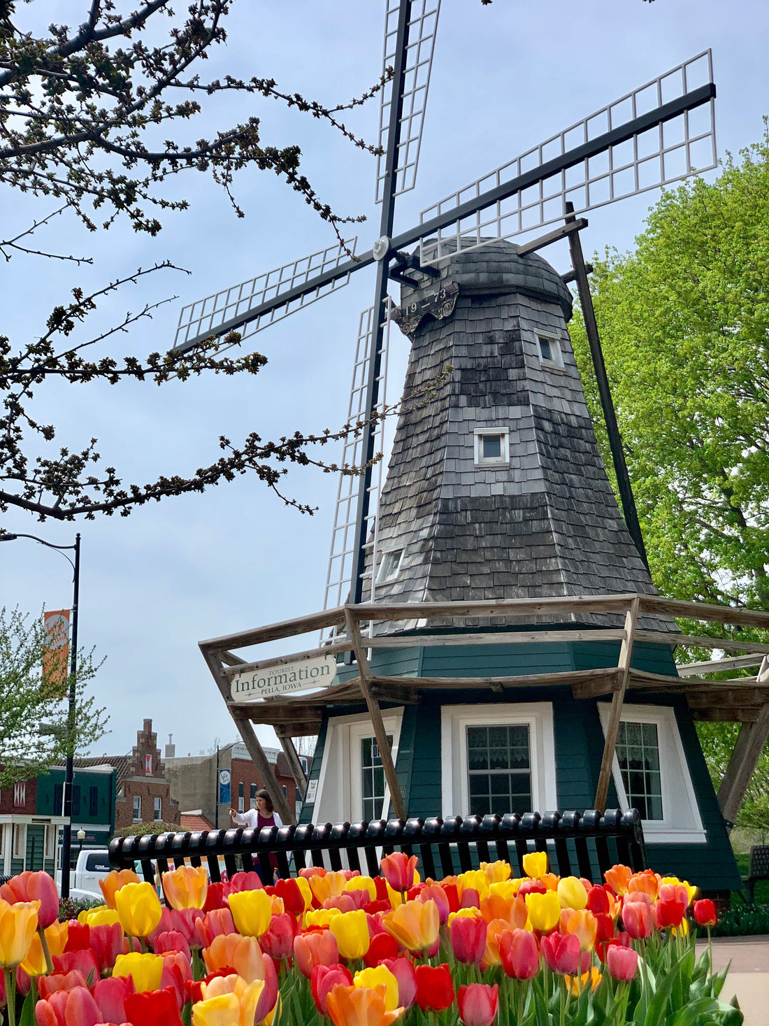 Pella's Information Windmill framed by pink, yellow, and orange tulips in downtown Pella, Iowa