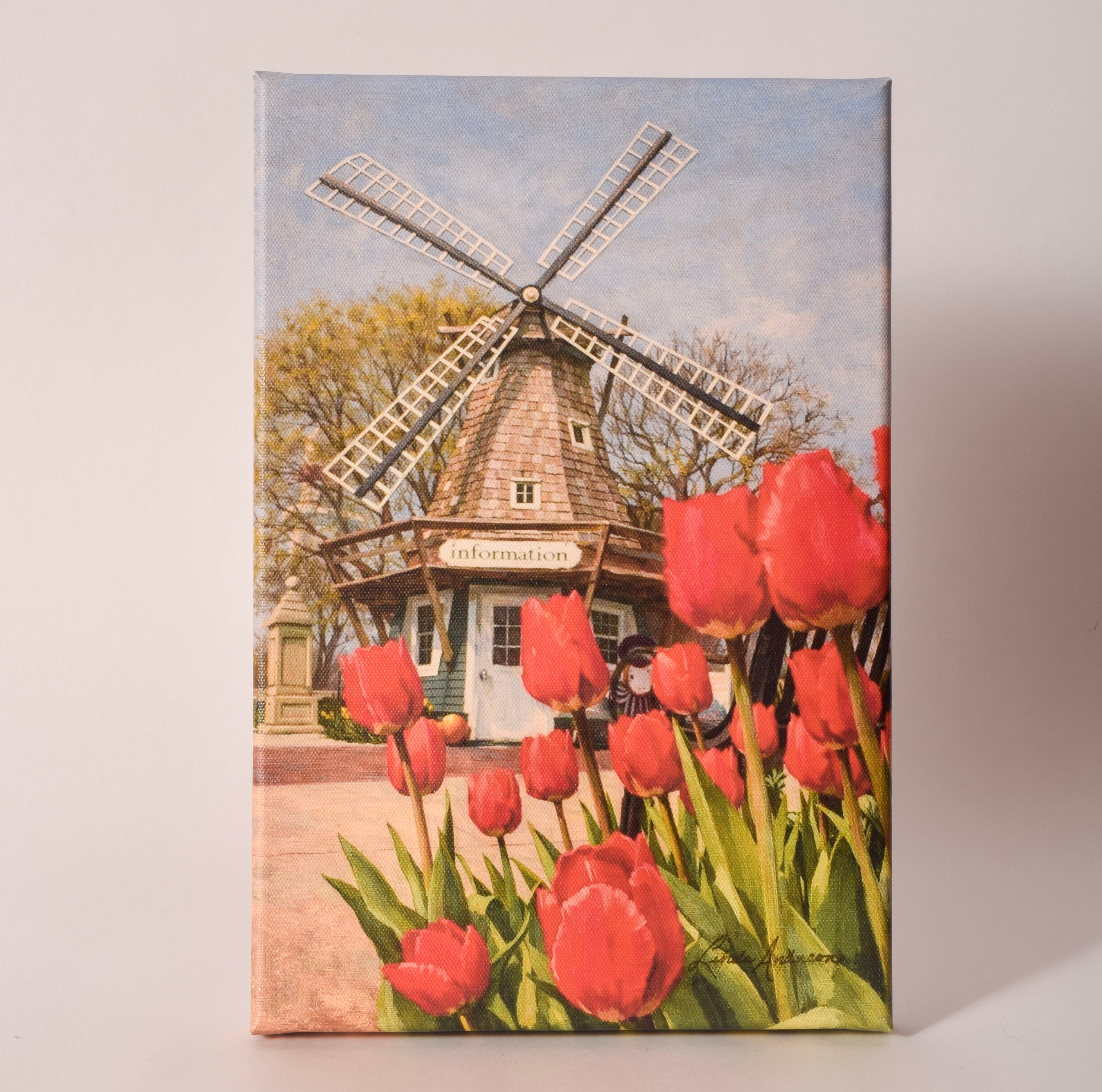 Canvas print of tulips in front of the Pella Information Windmill, sold at Thistles in Pella, Iowa