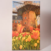 Canvas print of tulips blooming in front of Pella's Vermeer Windmill, sold at Thistles in Pella, Iowa